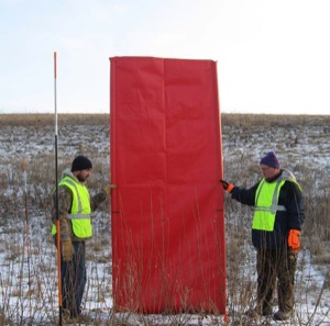 Assessing-the-Use-of-shrub-willows