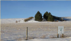 living-snow-fence-2