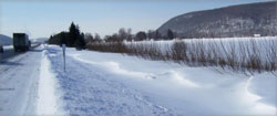 living-snow-fence-3